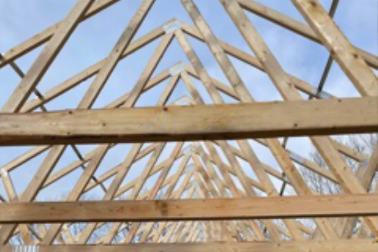 Carpentry: Roof Trusses