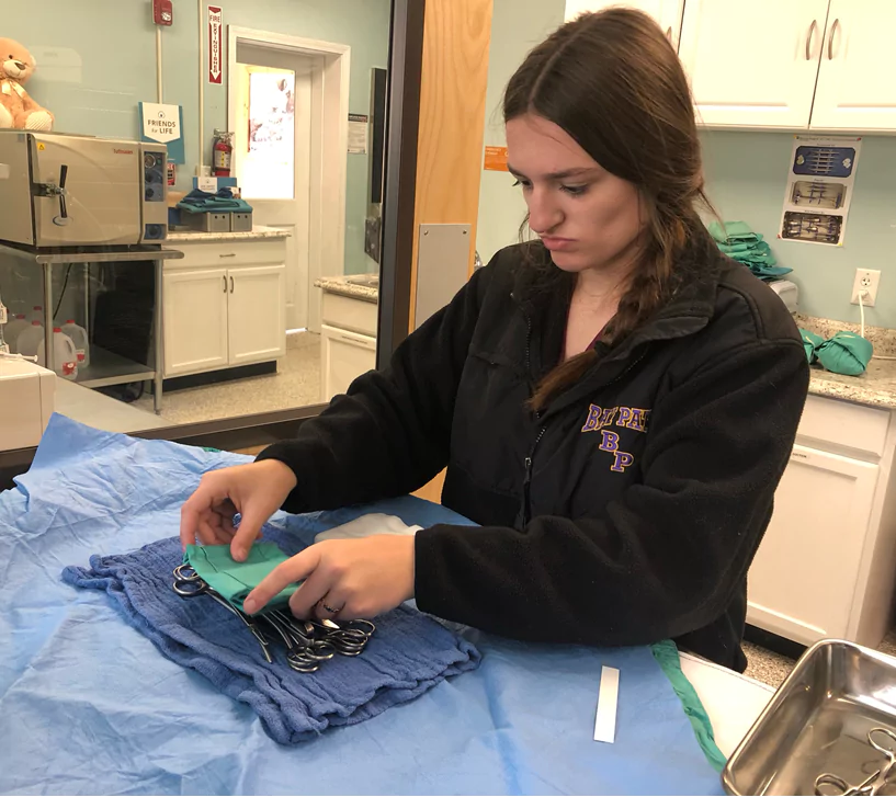 Veterinary Science: Preparing surgical packs at Second Chance Veterinary Clinic in Southbridge