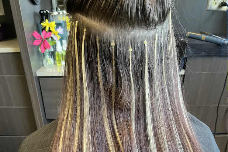 Cosmetology: Wigs and Hair Enhancements