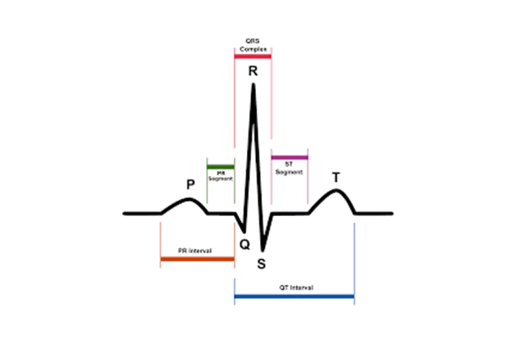 Health Technology: EKG Technician Program